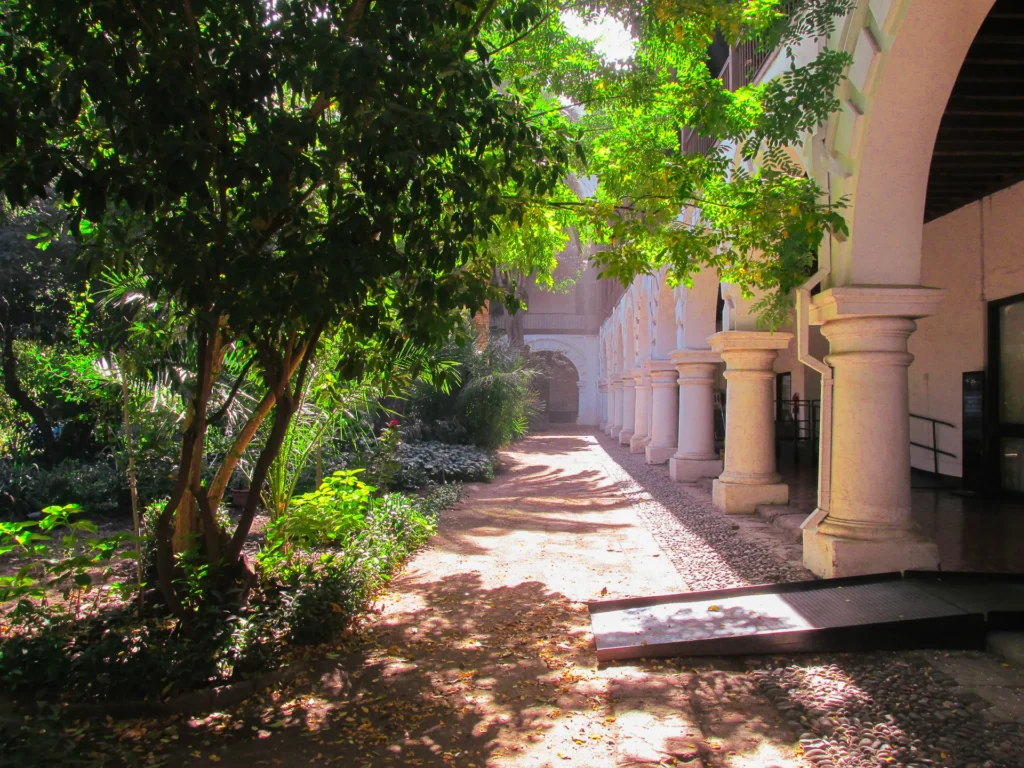 Museo-San-Francisco-12_risultato