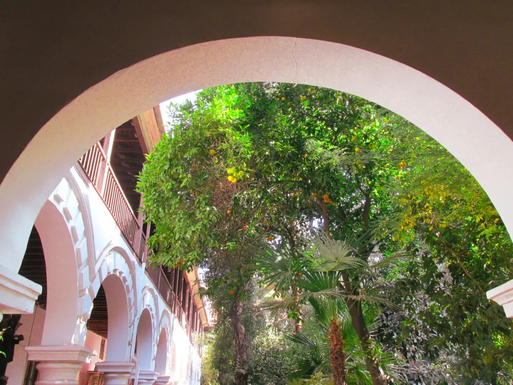 Museo-San-Francisco-21_risultato