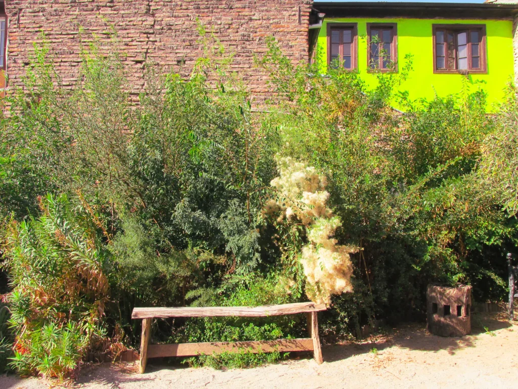 Museo-Taller_Bosque-Miyawaki-8_risultato