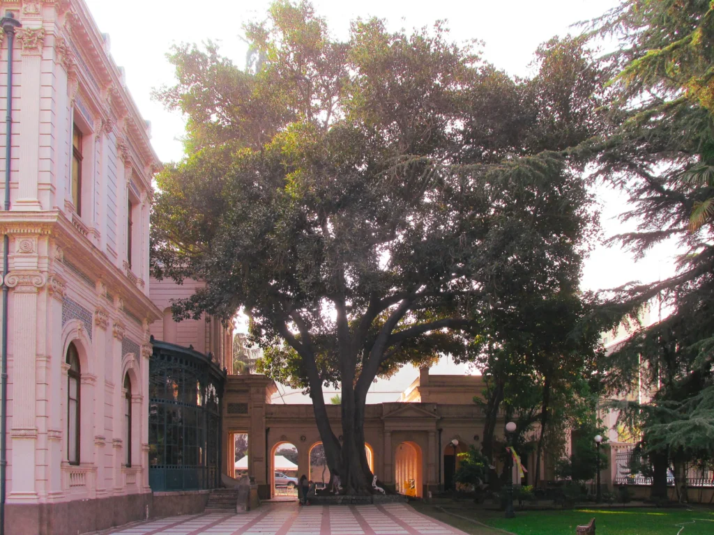 Palacio-Cousiño-5_risultato